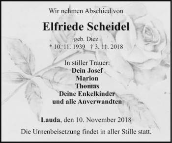 Traueranzeige von Elfriede Scheidel von Fränkische Nachrichten