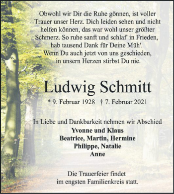 Traueranzeige von Ludwig Schmitt von Mannheimer Morgen