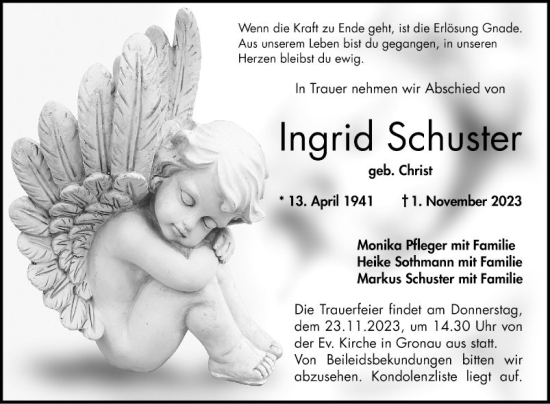 Traueranzeige von Ingrid Schuster von Bergsträßer Anzeiger