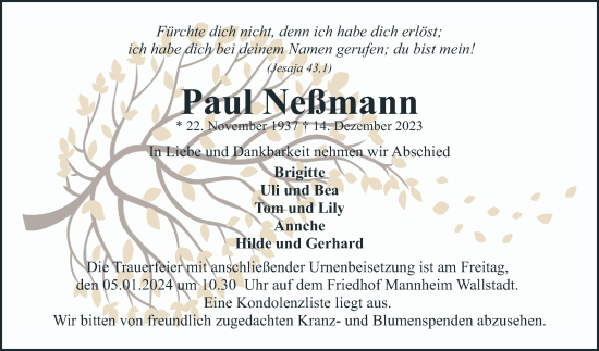 Traueranzeige von Paul Neßmann von Mannheimer Morgen