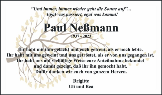 Traueranzeige von Paul Neßmann von Mannheimer Morgen