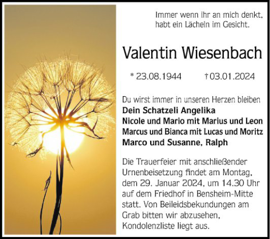 Traueranzeige von Valentin Wiesenbach von Bergsträßer Anzeiger