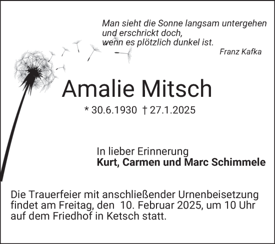 Traueranzeige von Amalie Mitsch von Schwetzinger Zeitung