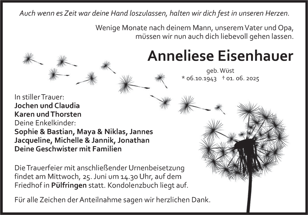  Traueranzeige für Anneliese Eisenhauer vom 20.06.2025 aus Fränkische Nachrichten