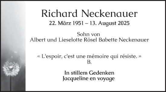 Traueranzeige von Richard Neckenauer von Schwetzinger Zeitung